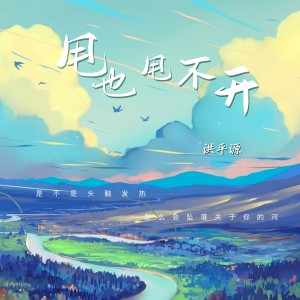 Album 甩也甩不开 from 洪平源