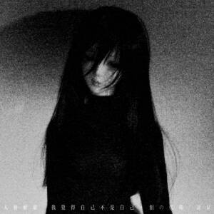 收听泪の代码的人格解离 (我觉得自己不是自己)歌词歌曲