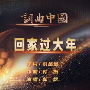 Album 回家过大年 from 郭煜