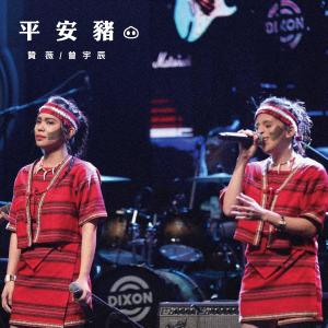 赞薇的专辑平安猪