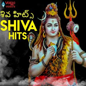 收听Sai Charan的Shivaya歌词歌曲