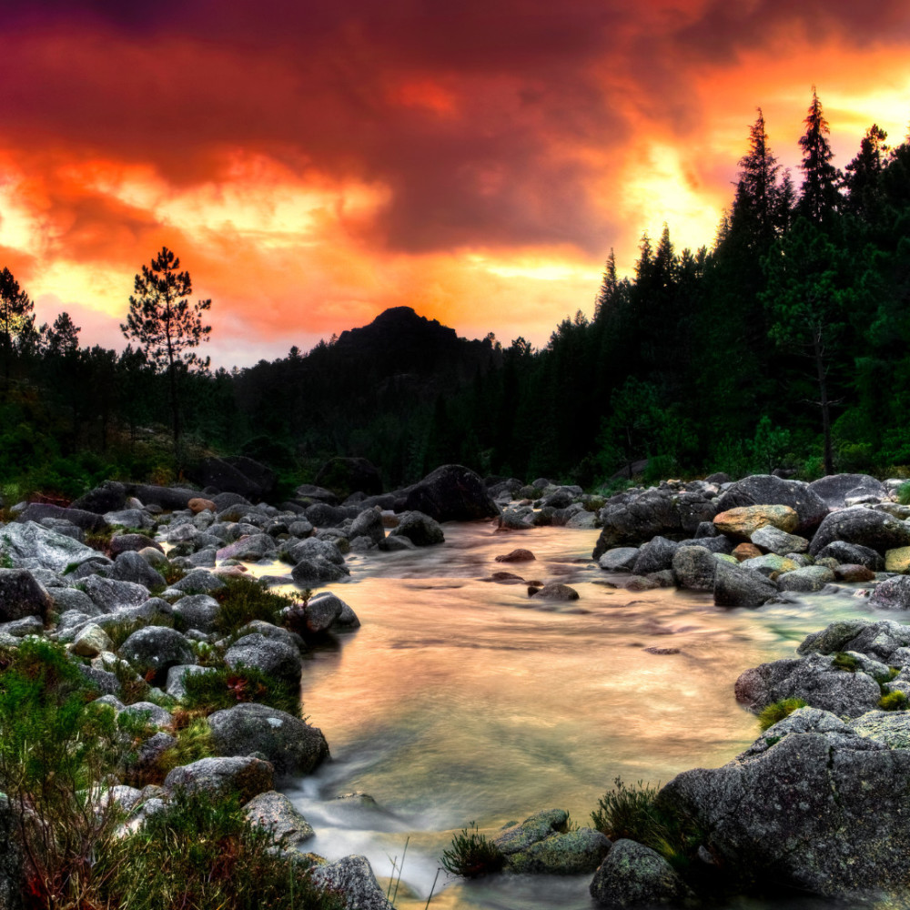 River's Gentle Lullaby