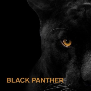 WOLFREEK的專輯Black Panther (Explicit)