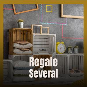 Various Artists的專輯Regale Several