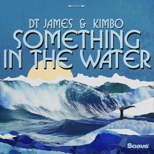 ดาวน์โหลดและฟังเพลง Something In The Water พร้อมเนื้อเพลงจาก DT James