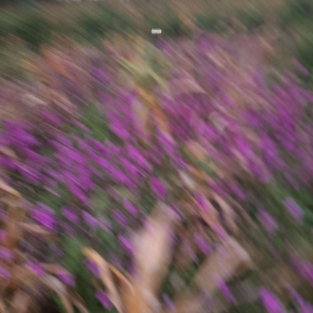 No Photos, Charlotte (Explicit)