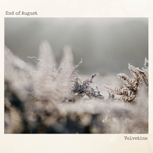 End Of August的專輯Velvetine