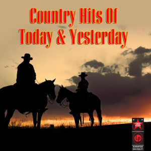 Various Artists的專輯Country Hits of Today & Yesterday