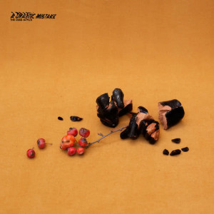 ดาวน์โหลดและฟังเพลง Mirror พร้อมเนื้อเพลงจาก The Crab Apples