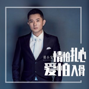 Listen to 情怕扎心爱怕入骨 (完整版) song with lyrics from 胡小宝