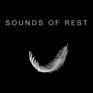 ดาวน์โหลดและฟังเพลง Water Channel พร้อมเนื้อเพลงจาก Sounds Of Nature