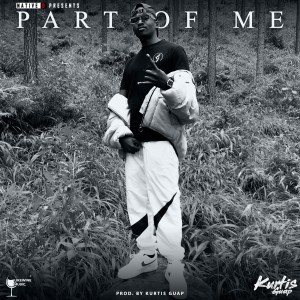 Album Part of Me from Native D