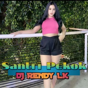 收聽DJ Rendy LK的Santri Pekok歌詞歌曲