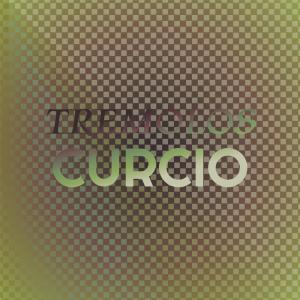 Various的专辑Tremolos Curcio