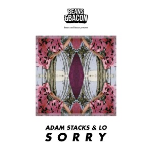 收聽Adam Stacks & LO的Sorry (Adam Stacks Remix)歌詞歌曲