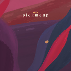 Album p i c k m e u p from Chillhop Music Raccoon