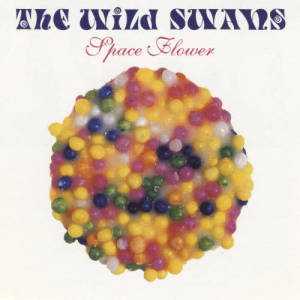 ดาวน์โหลดและฟังเพลง Melting Blue Delicious (Bill Drummond Single Version) พร้อมเนื้อเพลงจาก The Wild Swans