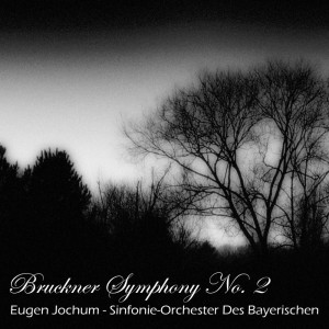 ดาวน์โหลดและฟังเพลง Bruckner Symphony No. 2: Satz: Moderato พร้อมเนื้อเพลงจาก Bavarian Radio Symphony Orchestra/Chorus