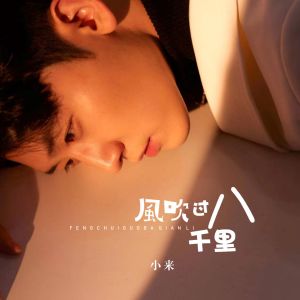 Listen to 风吹过八千里 (男声安静版) song with lyrics from 小来
