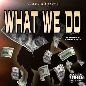 Listen to What We Do (Explicit) song with lyrics from Wolv