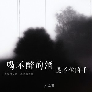 Listen to 喝不醉的酒 握不住的手 (伴奏) song with lyrics from 二哥
