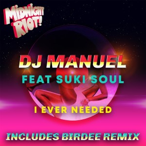 Listen to I Ever Needed (Birdee Remix) song with lyrics from DjManuel