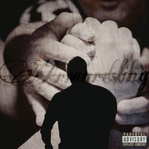 Album Armwrestling (Explicit) from 루퍼스