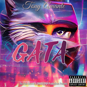 收听Tony Amante的Gata (Explicit)歌词歌曲