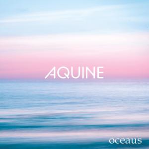 收聽Aquine的Oceaus (Meditation)歌詞歌曲