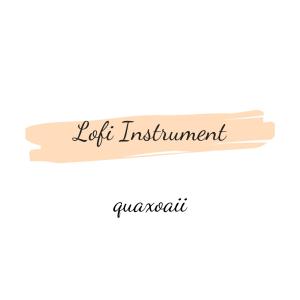 quaxoaii的專輯Lofi instrument