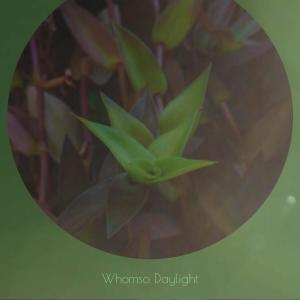 Album Whomso Daylight from 