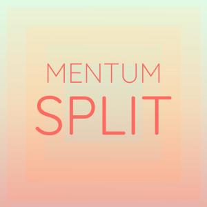 อัลบัม Mentum Split ศิลปิน Various