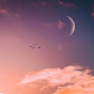 收聽Joslyn Martinez的Clouds歌詞歌曲
