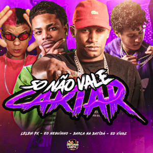 Listen to Só Não Vale Cartar (Explicit) song with lyrics from Barca Na Batida