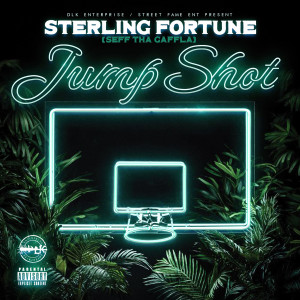 ดาวน์โหลดและฟังเพลง Jump Shot (Explicit) พร้อมเนื้อเพลงจาก Sterling Fortune
