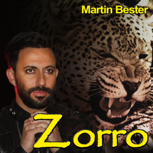 ดาวน์โหลดและฟังเพลง Zorro พร้อมเนื้อเพลงจาก Martin Bester