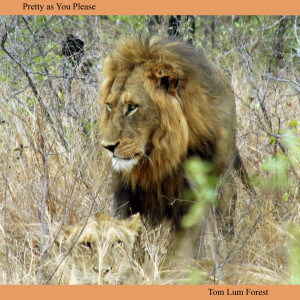 Listen to My Girl song with lyrics from Tom Lum Forest