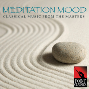 收聽James Fitzpatrick的Canon and Gigue in D Major: Canon歌詞歌曲