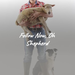 ดาวน์โหลดและฟังเพลง Follow Now, Oh Shepherds พร้อมเนื้อเพลงจาก The Kingston Trio