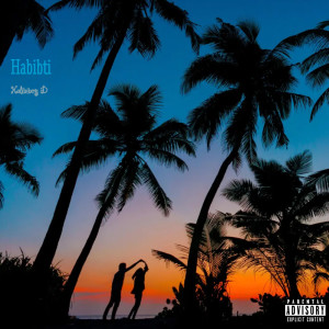 Kalibiboy D的专辑Habibti (Explicit)