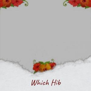 Album Which Hib from Various