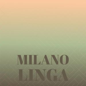 Various的专辑Milano Linga