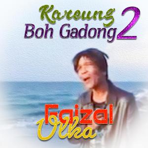 Album Kareung Boh Gadong 2 from Faizal Ulka