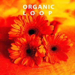 收听AiG的Existence歌词歌曲