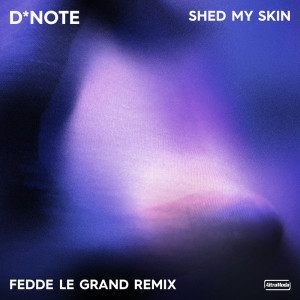 Dengarkan Shed My Skin (Fedde Le Grand Remix) lagu dari D*note dengan lirik