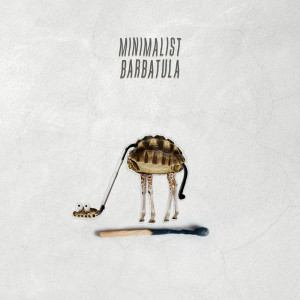 Barbatula的專輯Minimalist