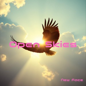 Listen to Take Off song with lyrics from New Face