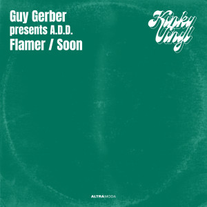 Album Flamer / Soon from Guy Gerber