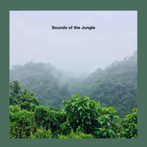 Sounds of the Jungle dari Sounds of the Jungle