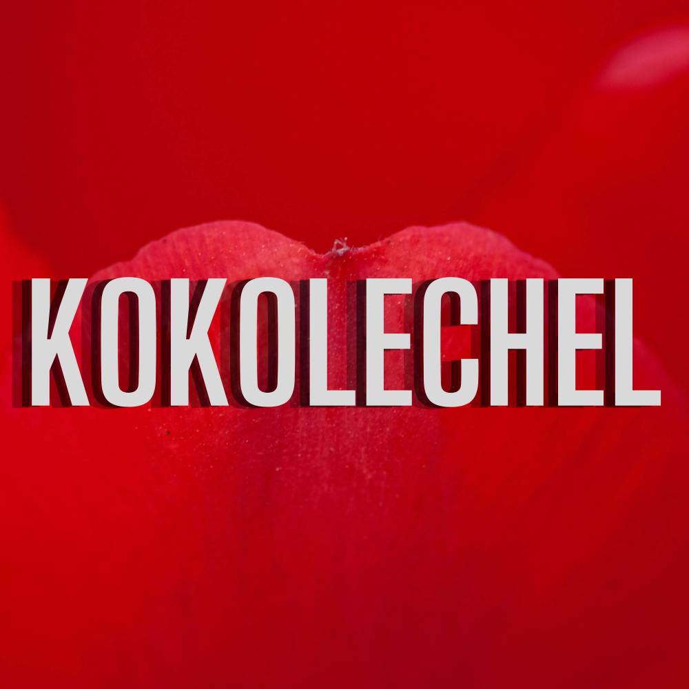 Kokolechel
